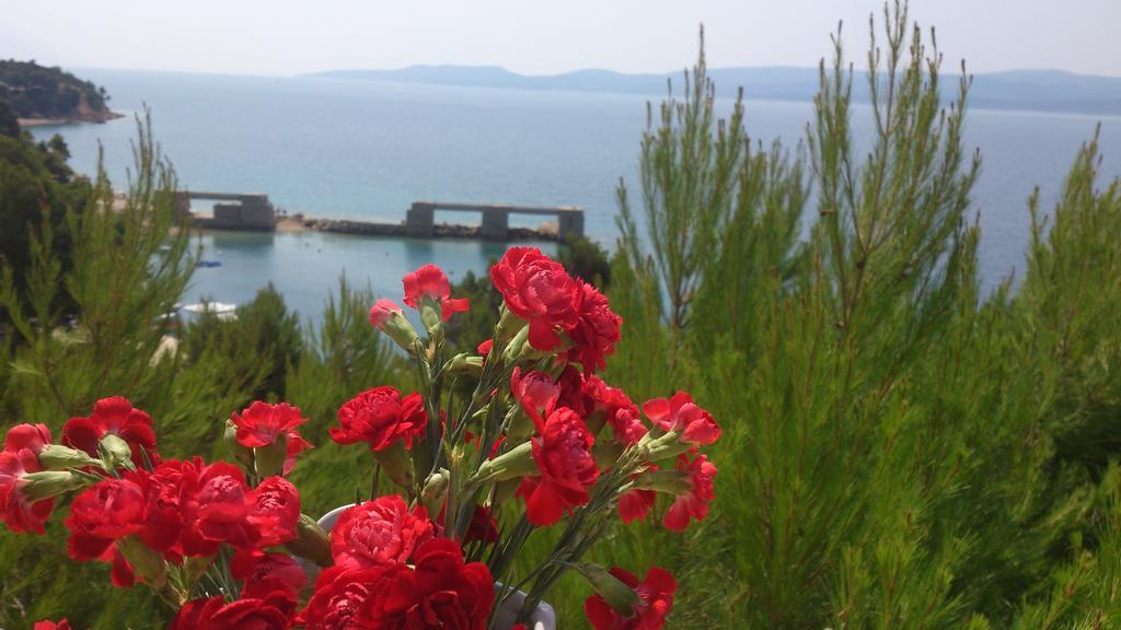 Apartmani Sea View Lokva Rogoznica Zimmer foto